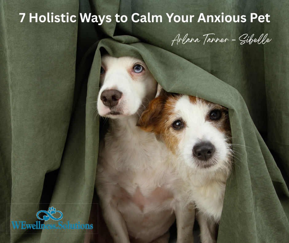 2 dogs hiding behind a curtain in fear