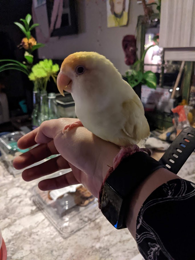 Bologna and Cassandra enjoying each others company after overcoming anxiety and trauma