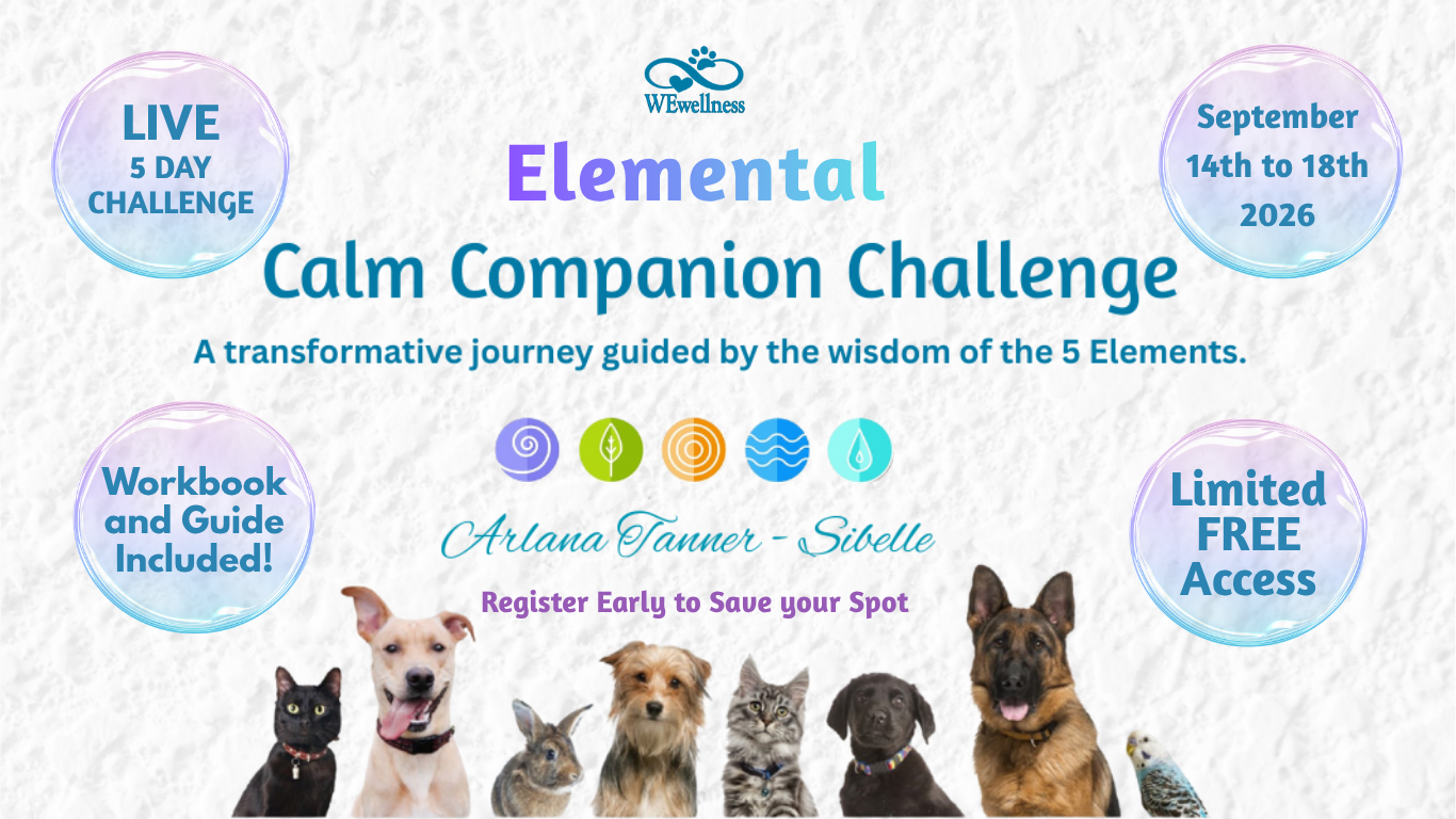 Elemental Calm Companion Challenge is now FREE