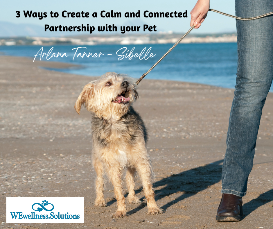 dog pulling on leash as owner walks on beach