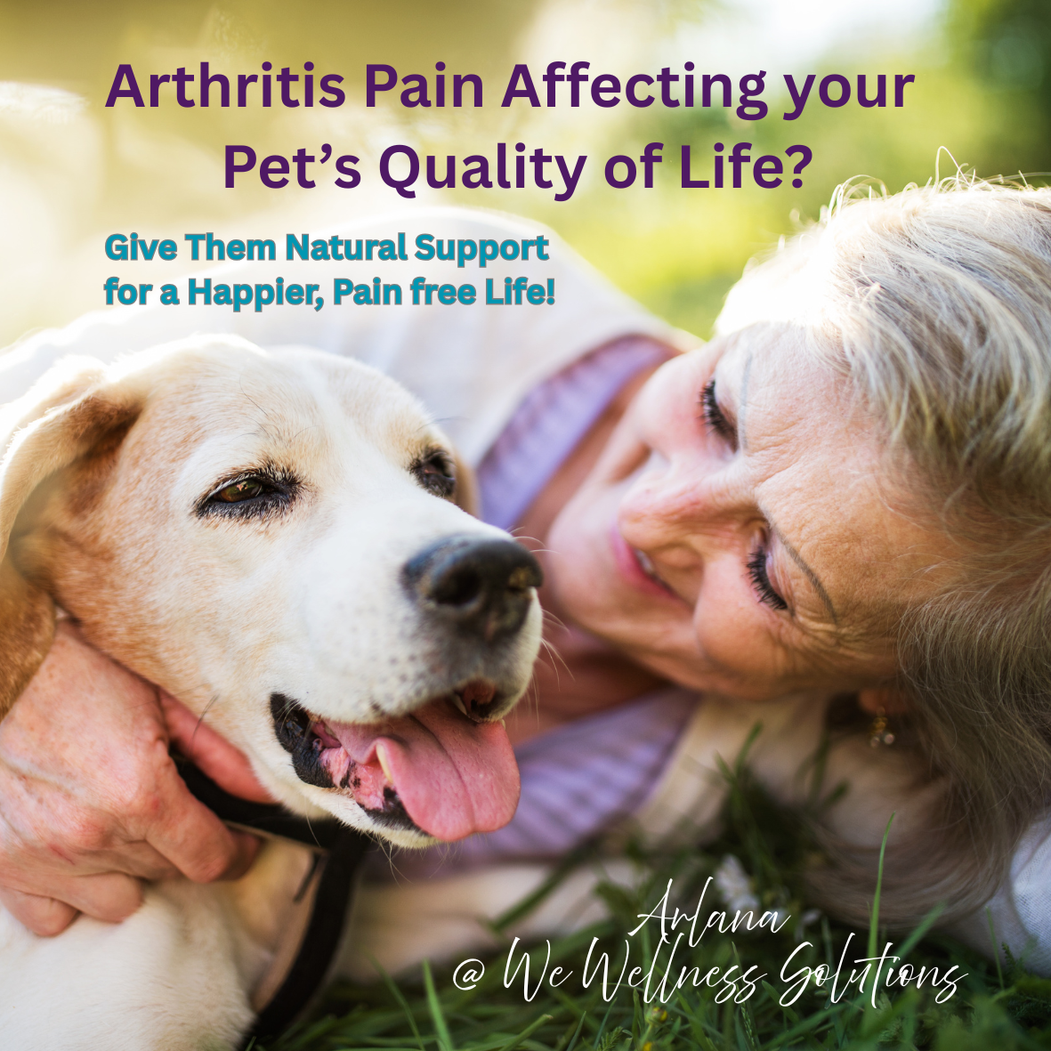 Old dog is lovingly held by older woman